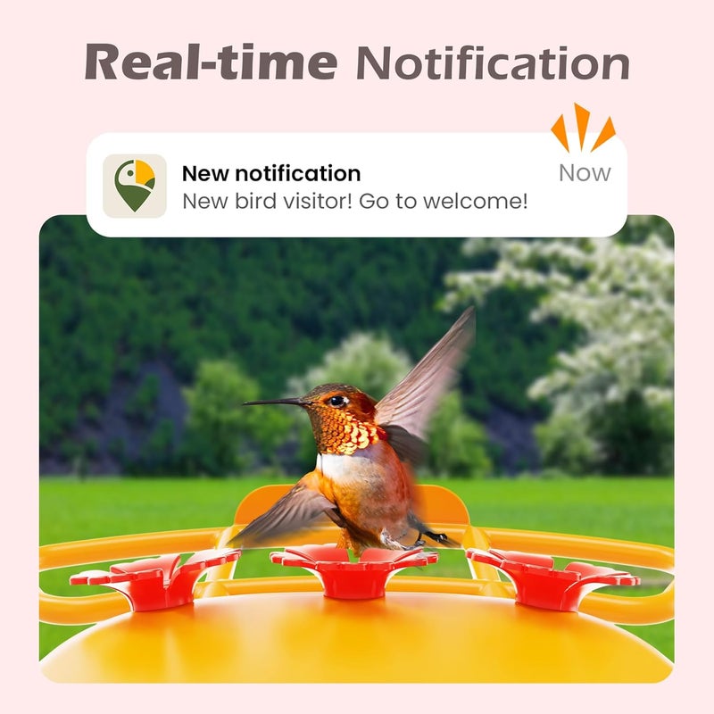 RichBird Smart Hummingbird Feeder with Camera Solar Powered, AI Identify, Instant Notification, Leakproof & Ant Moat Bird Feeder with Camera, Hummingbird Feeders for Outdoors, Gift for Bird Lovers (20 oz) - Image 3